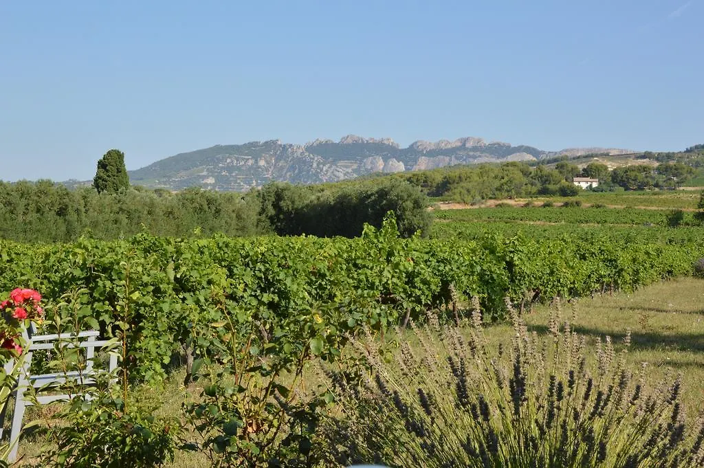 Bed and Breakfast La Dentelliere Saint-Hippolyte-le-Graveyron