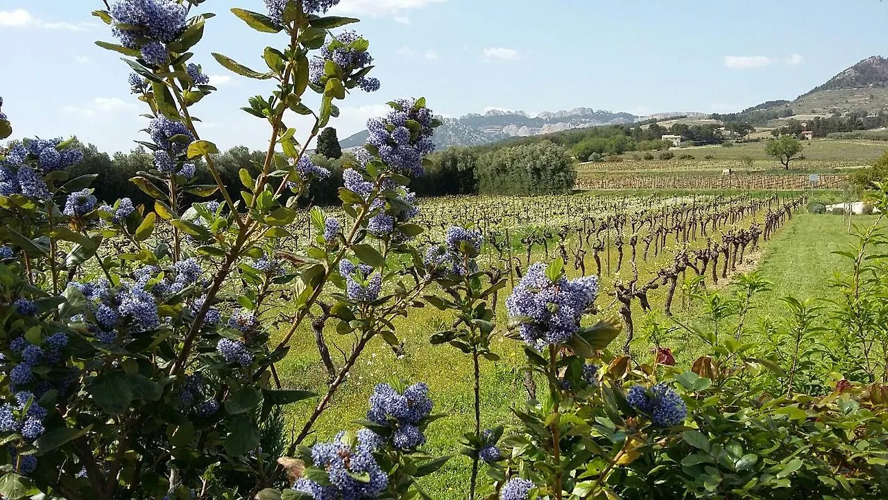 Bed and Breakfast La Dentelliere Saint-Hippolyte-le-Graveyron Отель типа 